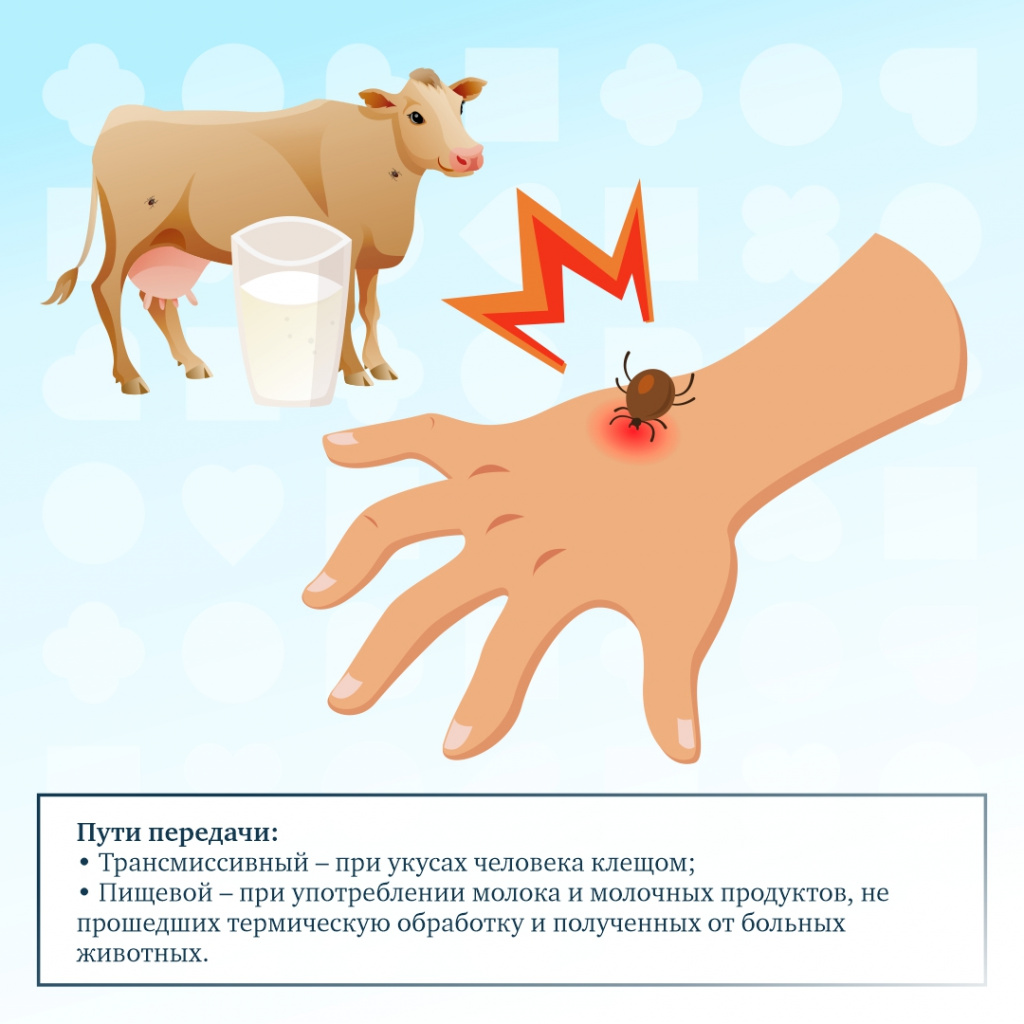 Клещевой энцефалит - 3